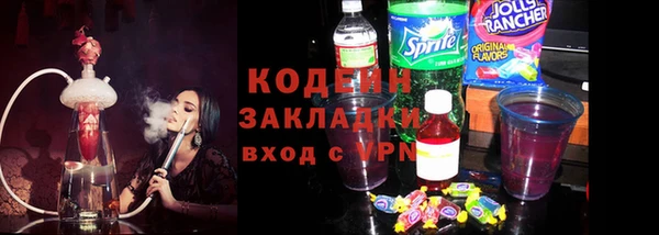 прущие грибы Волоколамск
