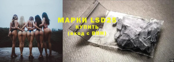 прущие грибы Волоколамск
