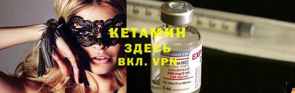 прущие грибы Волоколамск