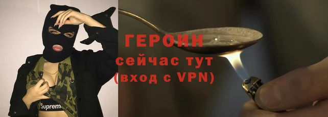 прущие грибы Волоколамск