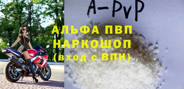 прущие грибы Волоколамск