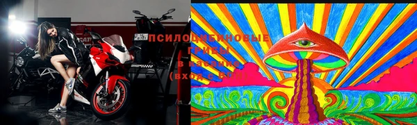 прущие грибы Волоколамск