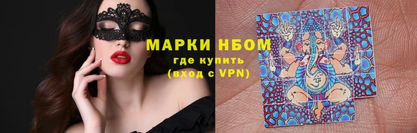 прущие грибы Волоколамск